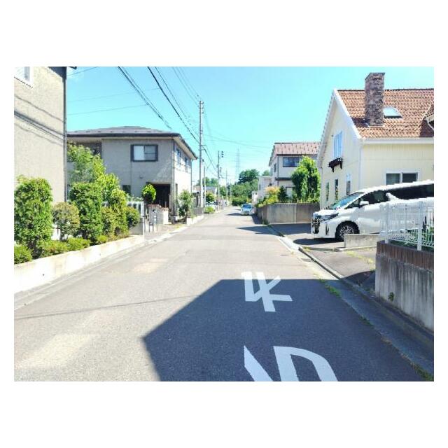 前面道路の様子（南から）