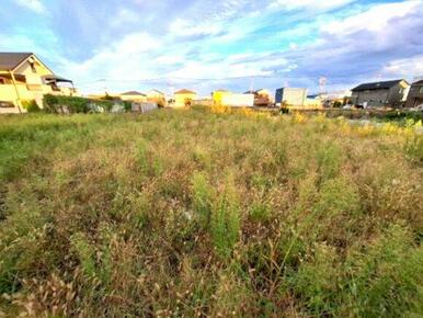 建築条件無し♪