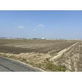  神野新田町字マノ割