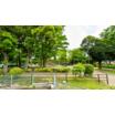 公園