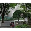公園
