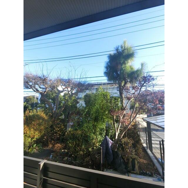 前回募集時のお写真になります☆