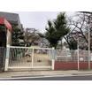 幼稚園、保育園