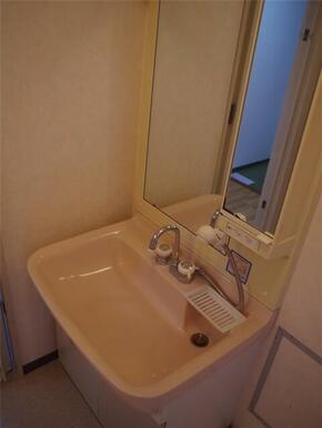 シャンプードレッサー