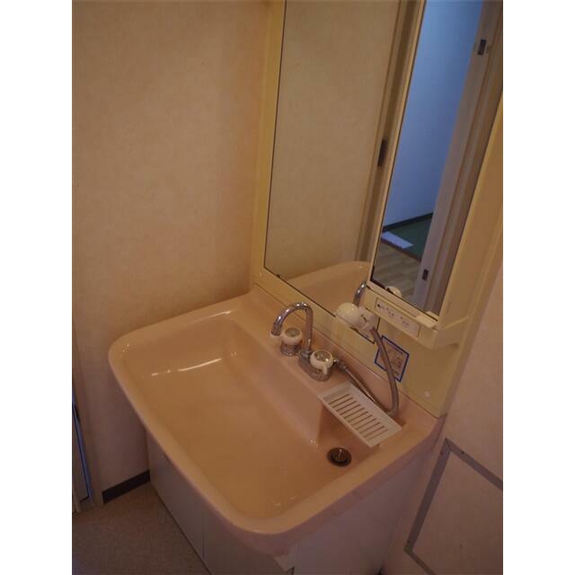 シャンプードレッサー