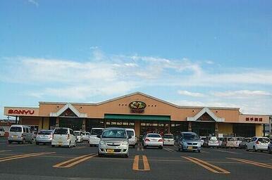 サンユーストアー新手綱店