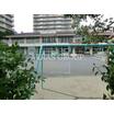 幼稚園、保育園