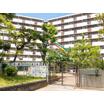 幼稚園、保育園