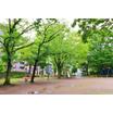 公園