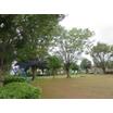 公園