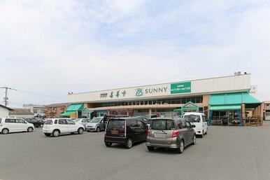 サニー善導寺店