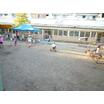 幼稚園、保育園