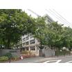 中学校