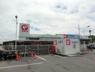 コメリハード＆グリーン板野店