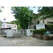 幼稚園、保育園