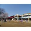 幼稚園、保育園
