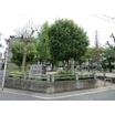 公園