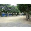 公園