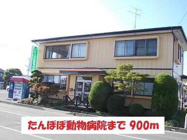 たんぽぽ動物病院