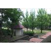 公園
