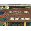 幼稚園、保育園