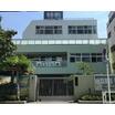 幼稚園、保育園
