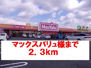 マックスバリュ様