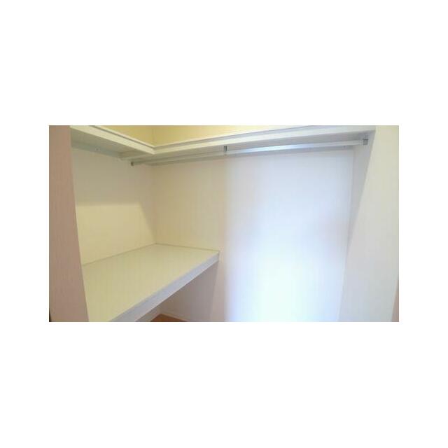 長い丈の衣類もハンガーにかけたまま収納できるハンガーパイプや、衣装ケース収納に便利な中段や、小物収…