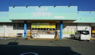 ドラッグスギヤマ新城東店