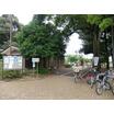 公園