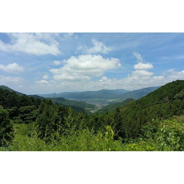 東温市が一望できます