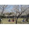 公園