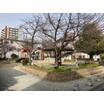 公園