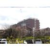 大学