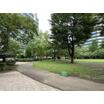 公園