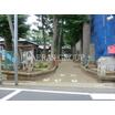 公園