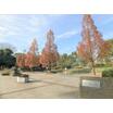公園