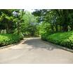 公園