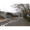 大学