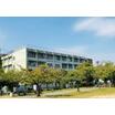 中学校