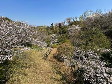 バルコニーからの眺望