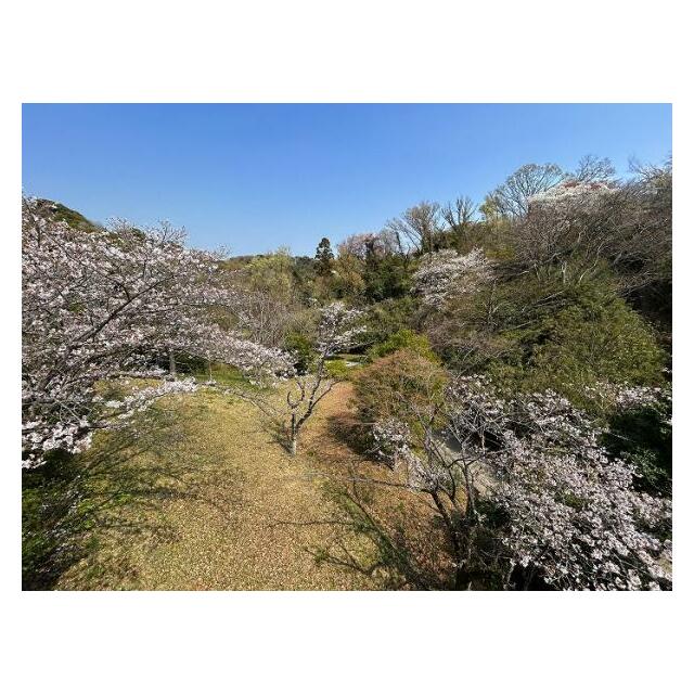 バルコニーからの眺望