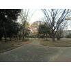 公園
