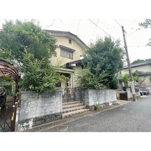 ２０２５年９月２８日撮影