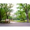 公園
