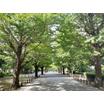 公園