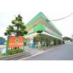 幼稚園、保育園