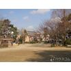 公園