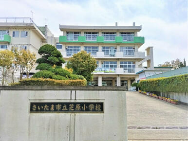 さいたま市立芝原小学校