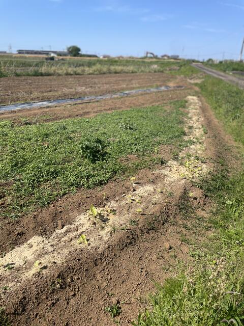 物件画像 築上郡上毛町 大字緒方 畑・農地用地
